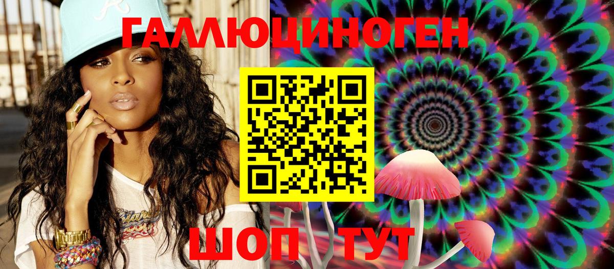 Галлюциногенные грибы Psilocybe Нижнеудинск