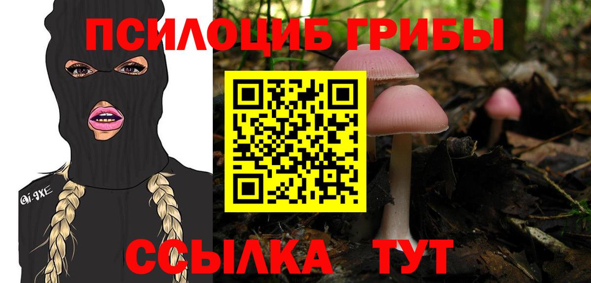 где купить наркоту  Галлюциногенные грибы мухоморы  Вход с VPN  Нижнеудинск 